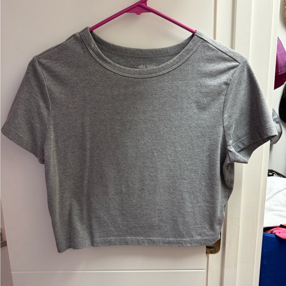 Wild Fable Gray Cropped Fitted T-Shirt